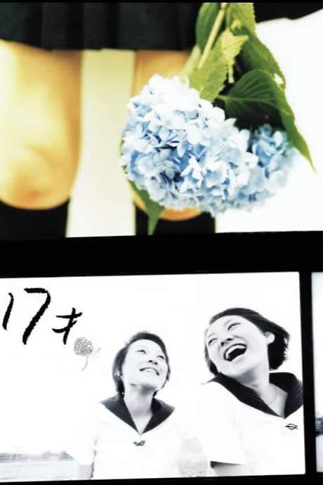 Age 17 (2002) movie poster