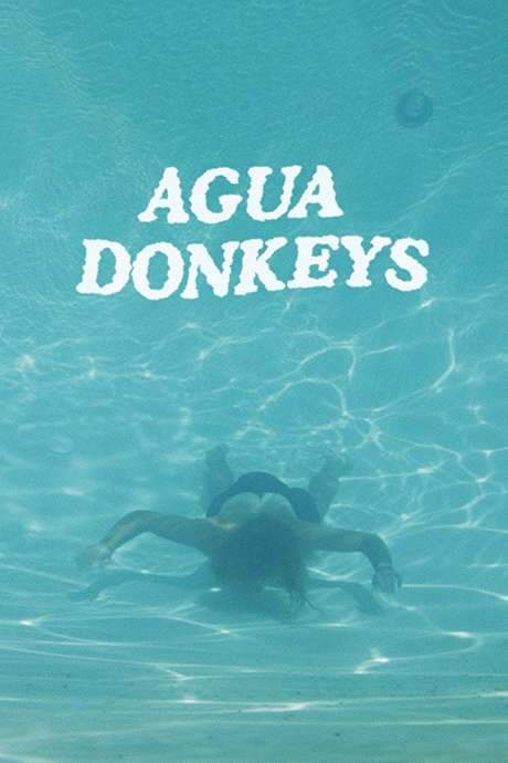 Agua Donkeys (2018) movie poster