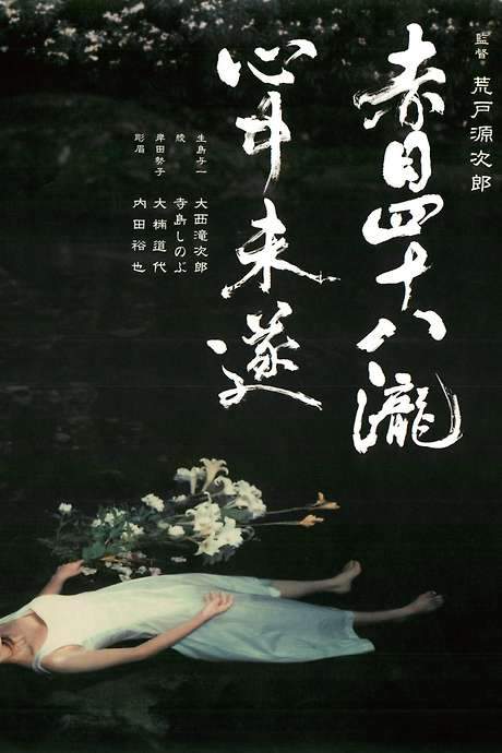 Akame 48 Waterfalls (2003) movie poster