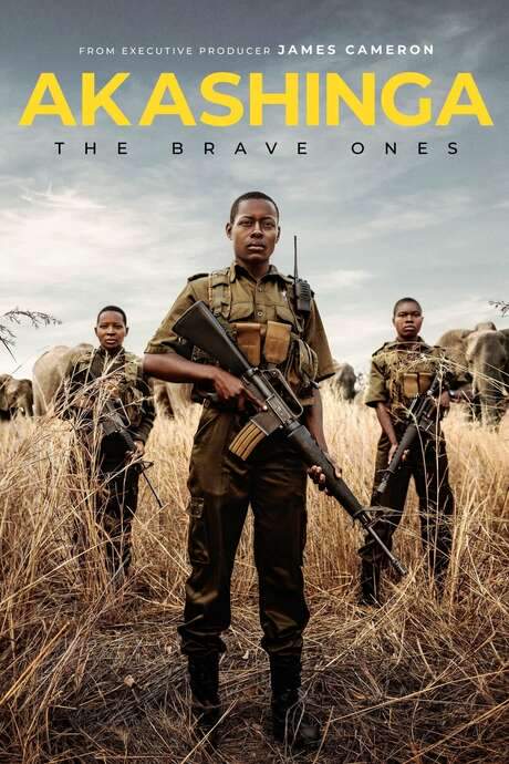 Akashinga: The Brave Ones (2020) movie poster