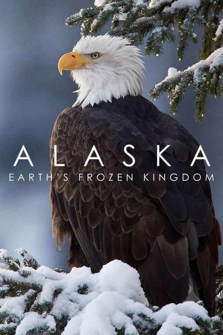 Alaska: Earth’s Frozen Kingdom (2015) movie poster