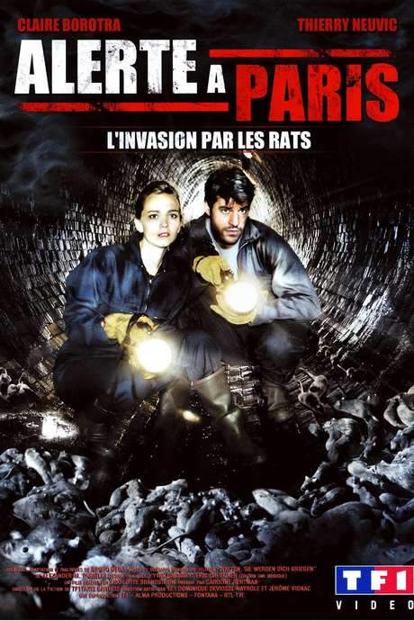 Alerte à Paris! (2006) movie poster