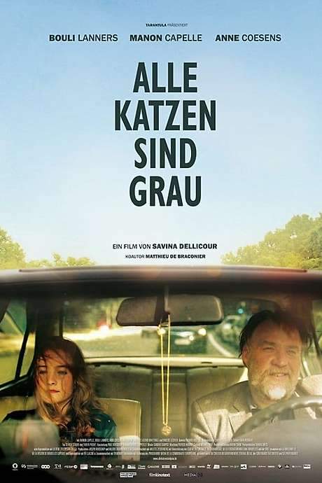All Cats Are Grey (2014) movie poster