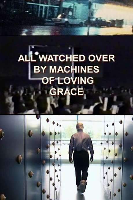 All Watched Over by Machines of Loving Grace (2011) movie poster