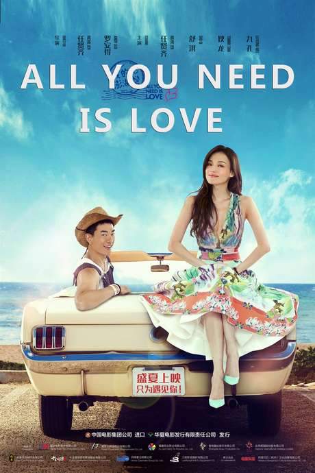 All You Need Is Love (2015) movie poster