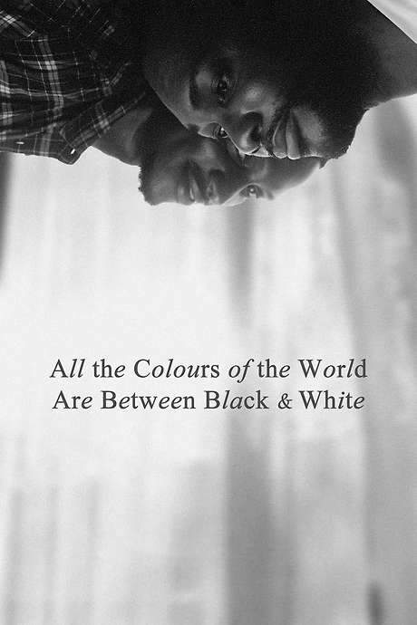 All the Colours of the World Are Between Black and White (2023) movie poster