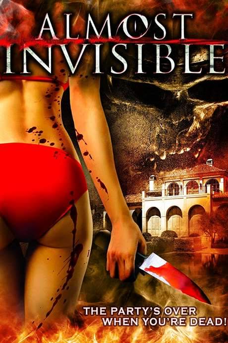 Almost Invisible (2010) movie poster