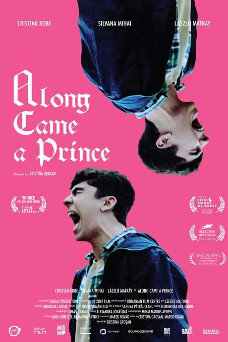 Along Came a Prince (2021) movie poster