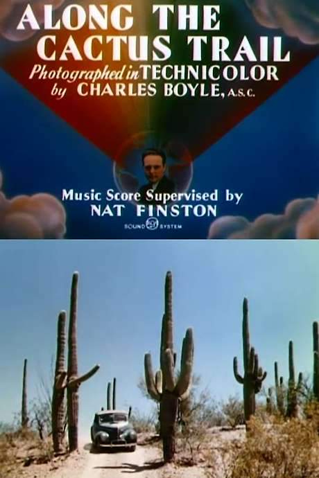 Along the Cactus Trail (1944) movie poster