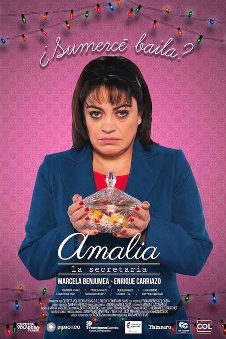 Amalia, la secretaria (2017) movie poster