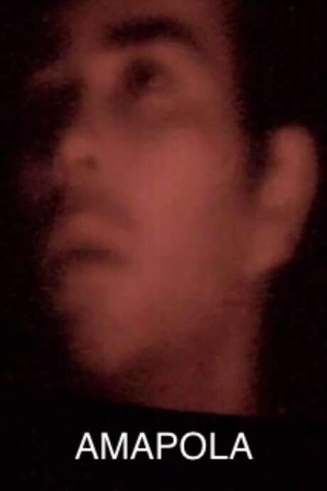 Amapola