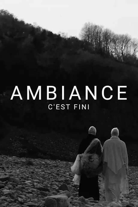 Filmed on a single beach in southern Sweden, this experimental work features two performance artists in a continuous, uncut take lasting over seven hours. The location, Hovs Hallar, holds significance as the same setting used by Ingmar Bergman for the famous chess game scene in The Seventh Seal. The first trailer, also seven hours and twenty minutes in length, was recorded on October 19, 2015.