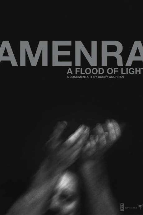 Amenra - A Flood of Light (2020) movie poster