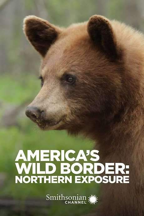 America’s Wild Border: Northern Exposure (2020) movie poster