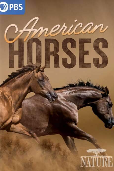 American Horses (2022) movie poster