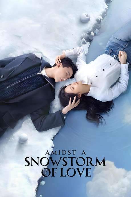 Amidst a Snowstorm of Love (2024) movie poster