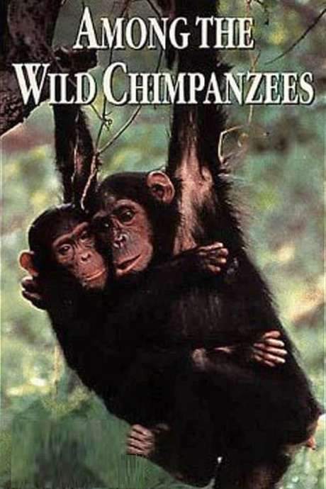 Among the Wild Chimpanzees (1984) movie poster