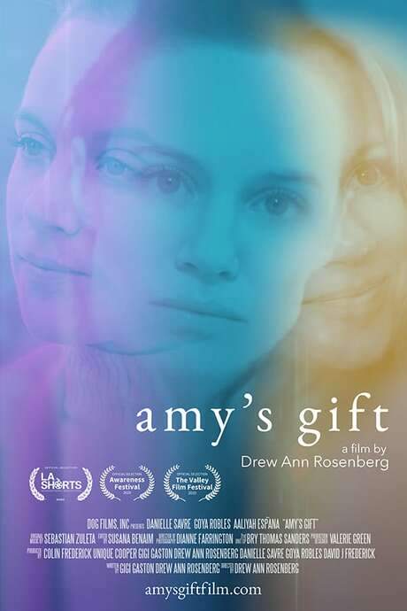 Amy’s Gift (2020) movie poster