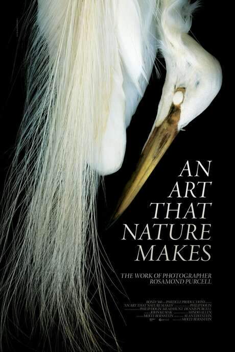 An Art That Nature Makes: The Work of Rosamond Purcell (2015) movie poster
