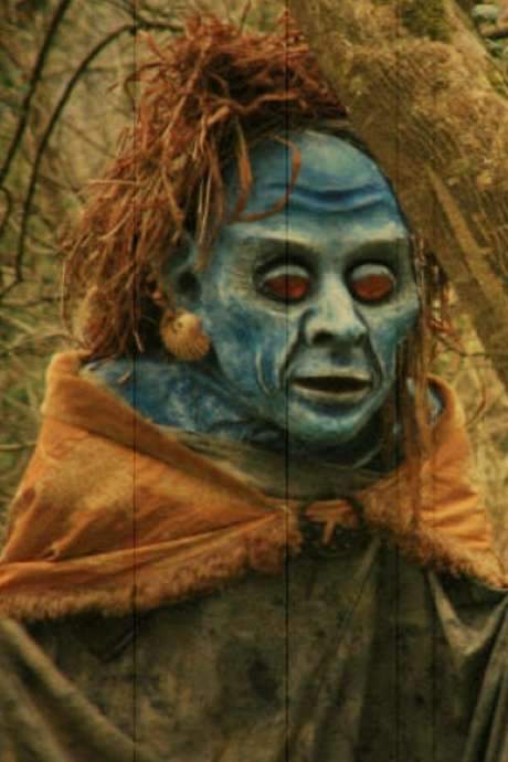 An Cailleach Bhéara (2007) movie poster