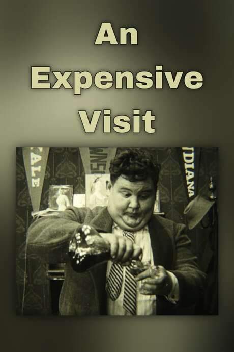 An Expensive Visit (1915) movie poster