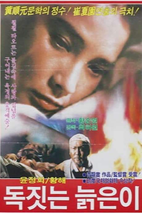 An Old Potter (1969) movie poster
