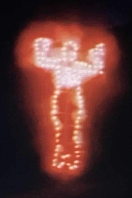 Ana Mendieta: Fuego de Tierra (1987) movie poster
