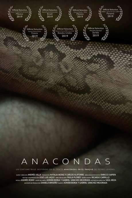 Inspired by Pedro Lemebel’s chronicle “Anacondas in the Park,” this film explores themes of time, image, and memory. Set in a park in Guadalajara, Mexico, it presents an observational narrative of a space that transforms at night. The film examines a shared history of criminalization and homosexual repression in Latin America, portraying encounters and connections between individuals as if they were snakes.