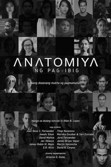 Anatomy of Love (2015) movie poster