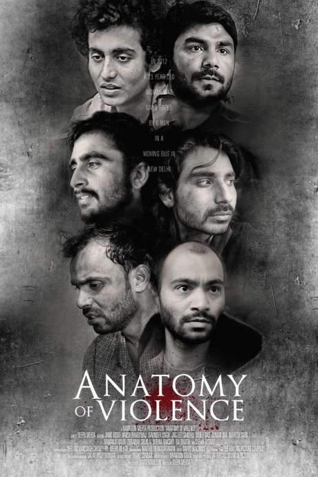 Anatomy of Violence (2016) movie poster