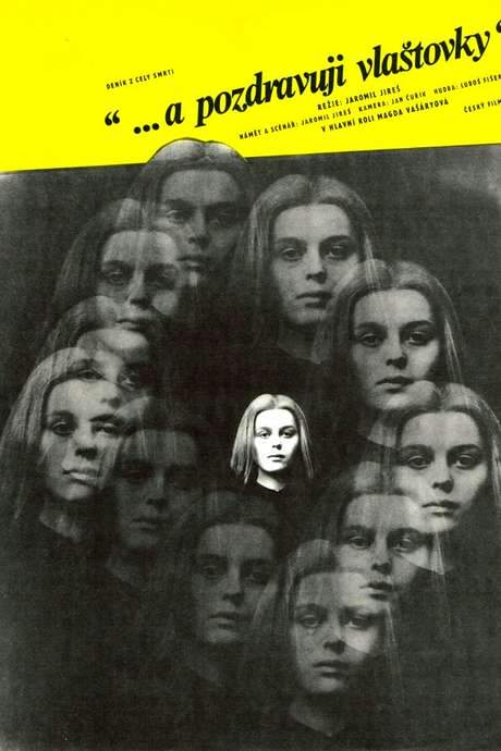 And Give My Love to the Swallows (1972) movie poster