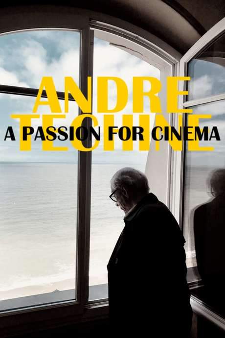 André Téchiné: A Passion for Cinema (2019) movie poster