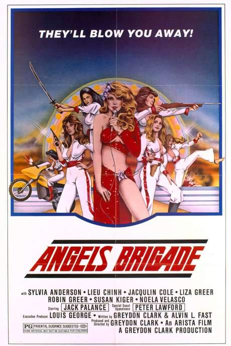 Angels’ Brigade (1979) movie poster