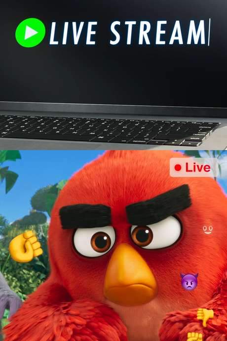 Angry Birds: Live Stream (2019) movie poster
