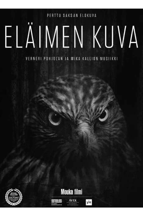 Animal Image (2018) movie poster