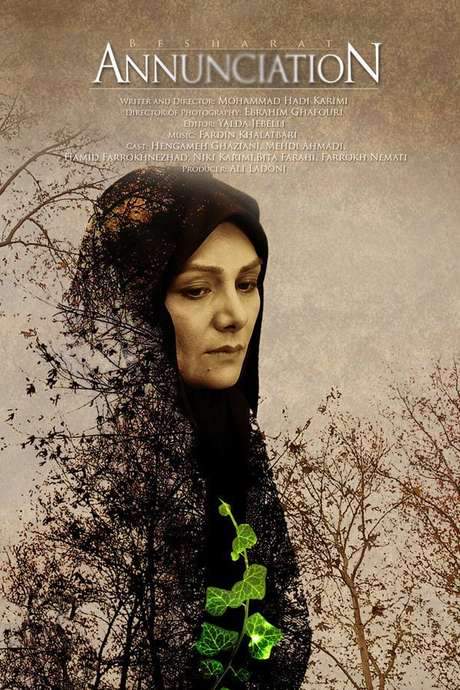 Annunciation to a Third Milennium Citizen (2013) movie poster