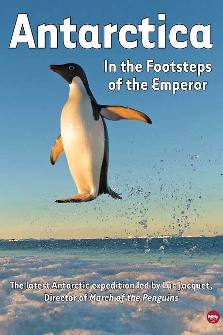Antarctica, in the footsteps of the Emperor (2016) movie poster