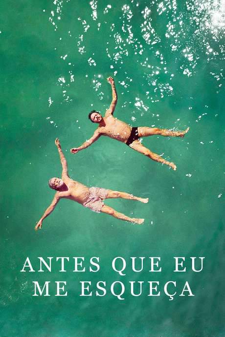 Antes Que Eu Me Esqueça (2017) movie poster