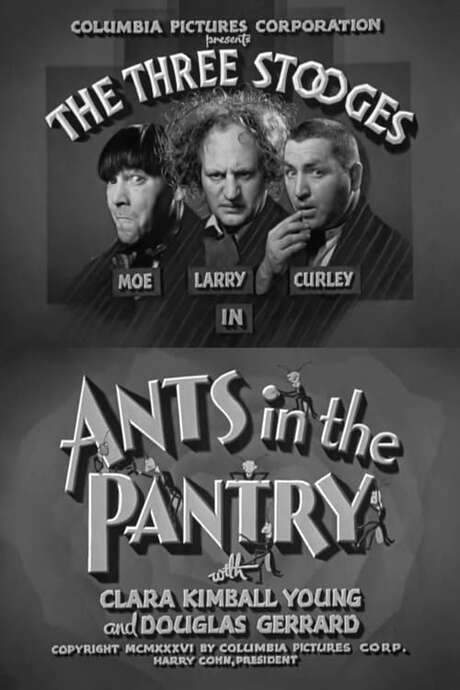 Ants in the Pantry (1936) movie poster