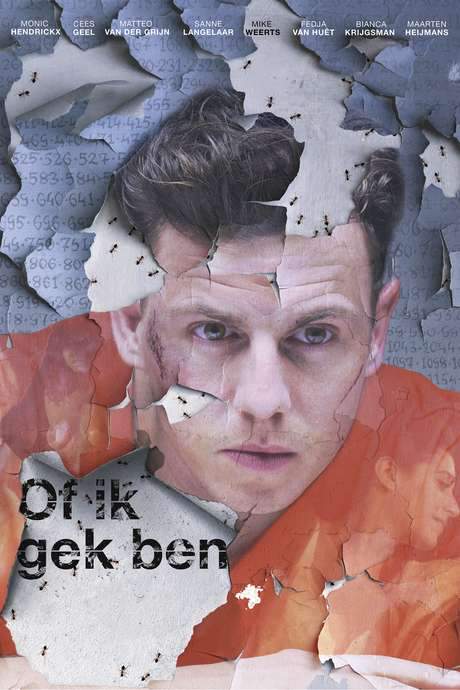 As If I’m Crazy (2016) movie poster