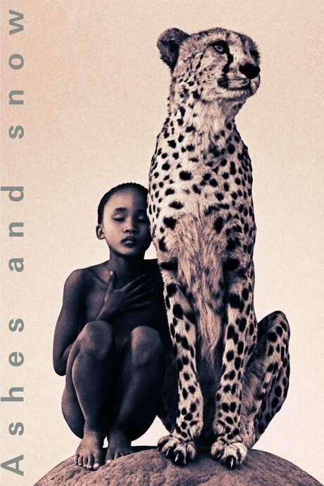 Ashes and Snow (2005) movie poster