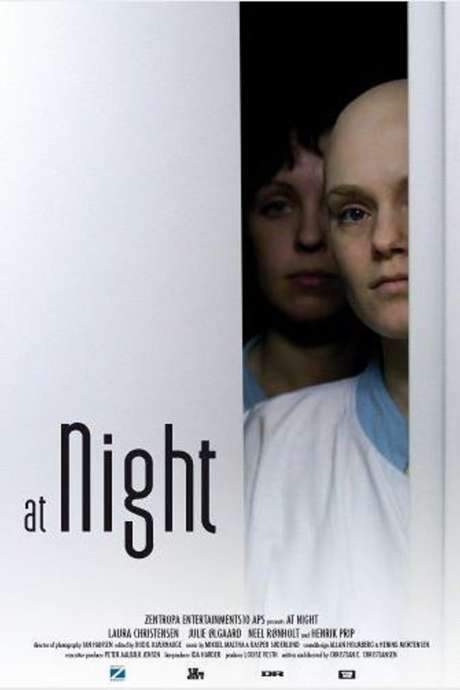 At Night (2007) movie poster