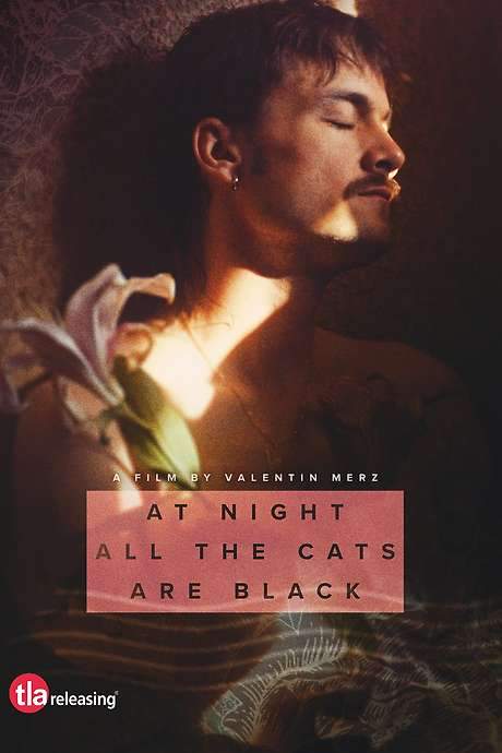 At Night All the Cats Are Black (2022) movie poster