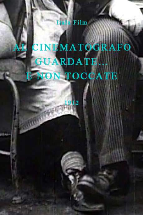 At the Cinema Show (1912) movie poster