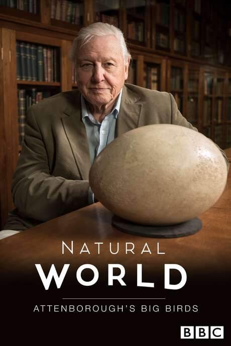Attenborough’s Big Birds (2015) movie poster