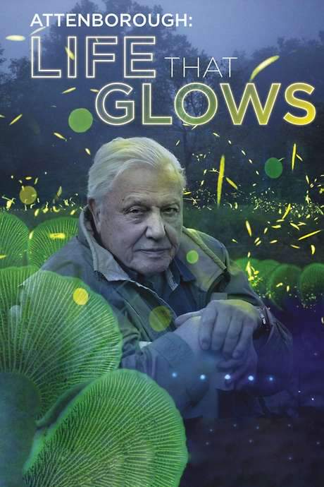 Attenborough’s Life That Glows (2016) movie poster