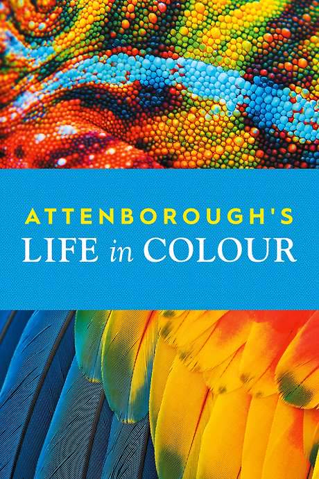 Attenborough’s Life in Colour (2021) movie poster