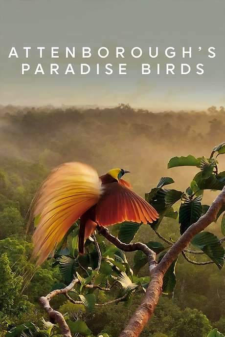 Attenborough’s Paradise Birds (2015) movie poster