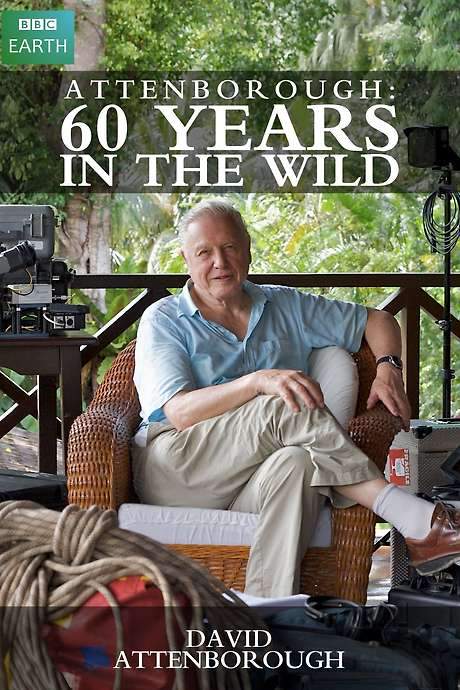 Attenborough: 60 Years in the Wild (2012) movie poster