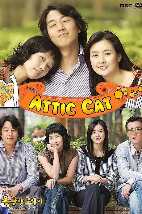 Attic Cat (2003) movie poster